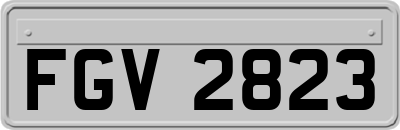 FGV2823