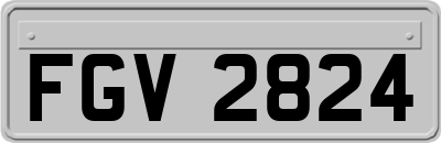 FGV2824