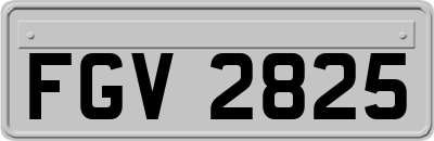 FGV2825