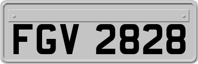 FGV2828