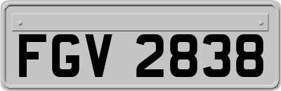 FGV2838