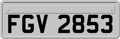 FGV2853