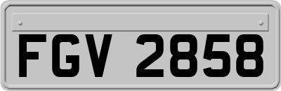 FGV2858