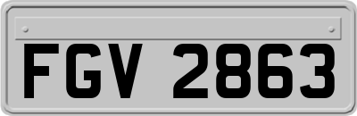 FGV2863