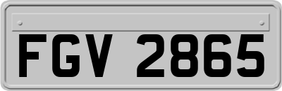 FGV2865