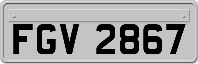 FGV2867