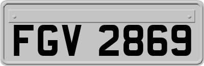 FGV2869