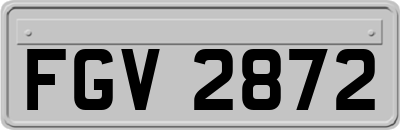 FGV2872