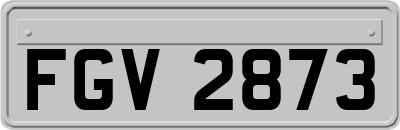 FGV2873