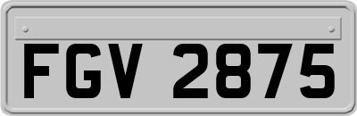FGV2875