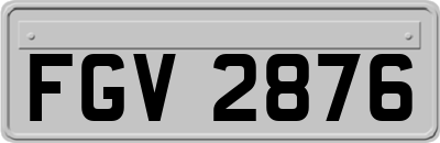 FGV2876