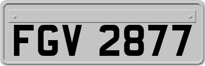 FGV2877