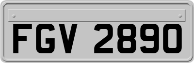 FGV2890