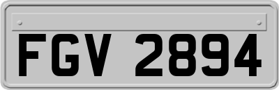 FGV2894