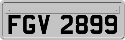 FGV2899