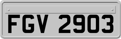 FGV2903