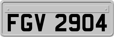 FGV2904