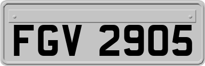 FGV2905