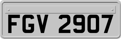 FGV2907