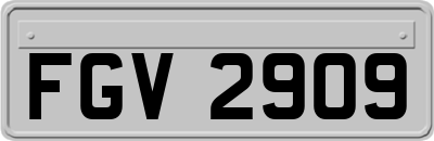 FGV2909