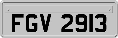 FGV2913