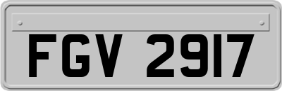 FGV2917