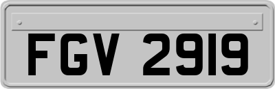 FGV2919