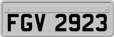 FGV2923