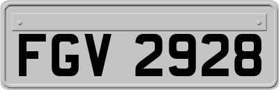 FGV2928