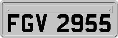 FGV2955