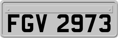 FGV2973