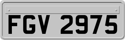 FGV2975