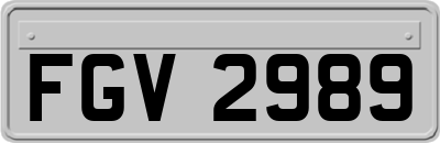 FGV2989