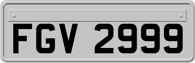FGV2999