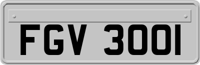 FGV3001