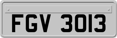 FGV3013