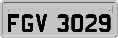 FGV3029