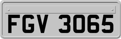 FGV3065