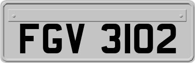 FGV3102