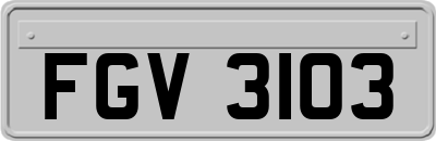 FGV3103
