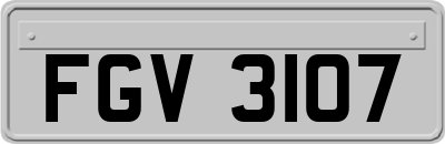FGV3107