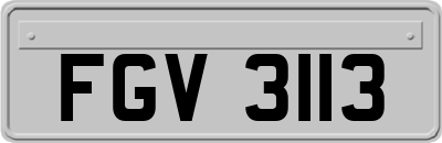 FGV3113