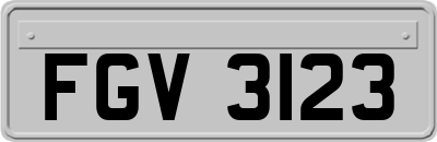 FGV3123