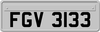 FGV3133