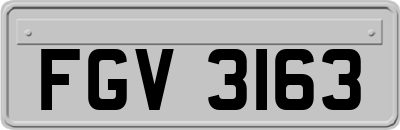 FGV3163