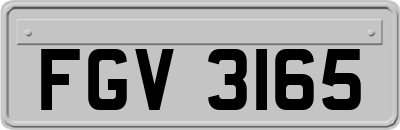 FGV3165