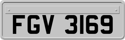 FGV3169