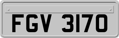 FGV3170