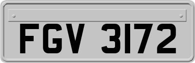 FGV3172