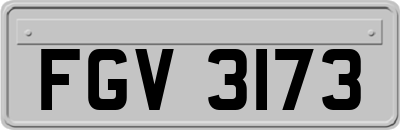 FGV3173